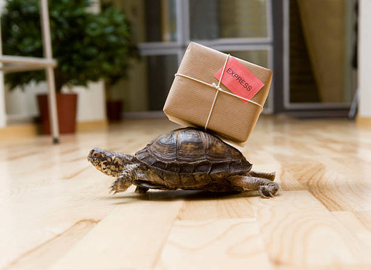 Bags, Boards and Shipping