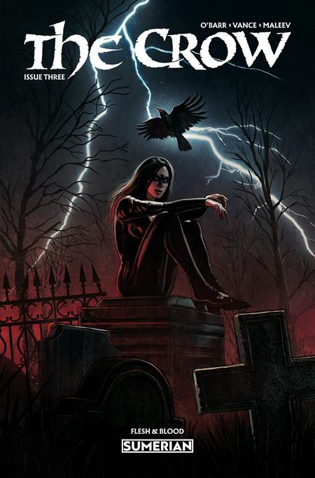 The Crow: Flesh & Blood #3