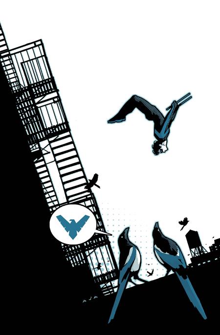 Nightwing #146 (Cover B — David Aja (Cardstock))