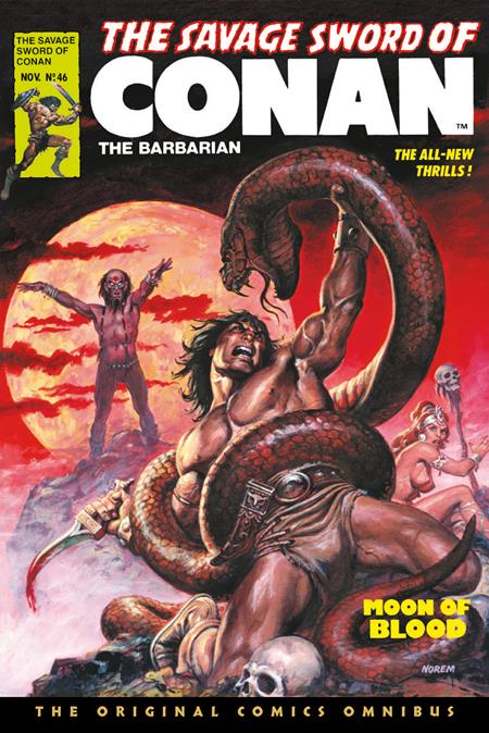 Savage Sword Of Conan The Original Comics Omnibus HC #4