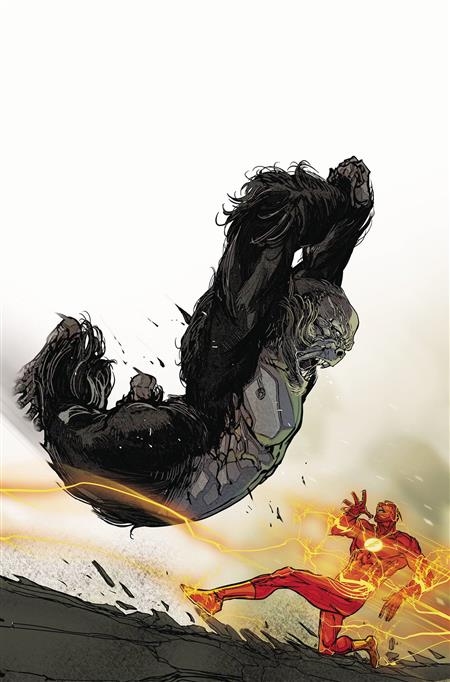 FLASH TP #7
