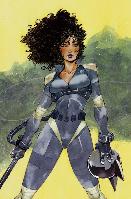Absolute Catwoman #3 (Cover D — Chuma Hill (Cardstock))