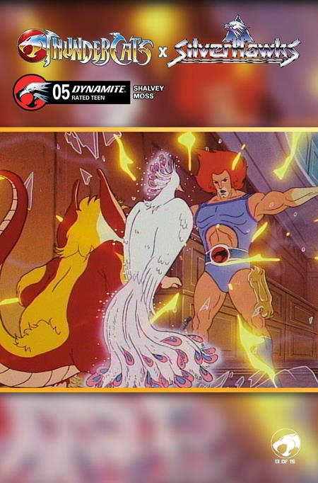 Thundercats X Silverhawks #5 (Cover E — Animation Art)