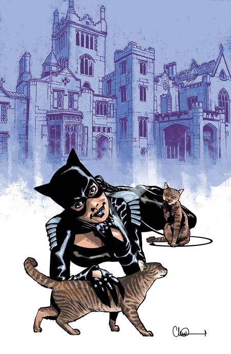 Catwoman #91 (Cover C — Charlie Adlard (Cardstock))