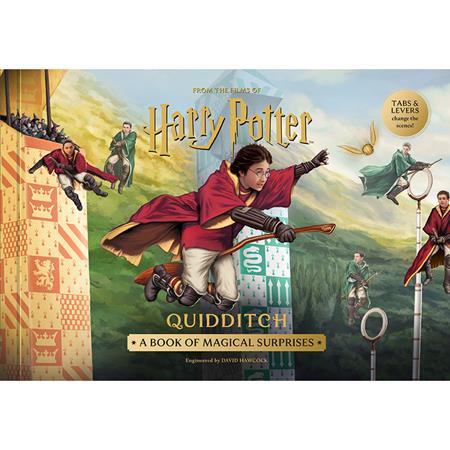 Harry Potter: Quidditch HC #1