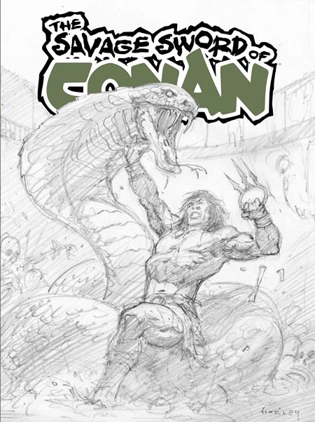 Savage Sword Of Conan #15 (Cover E — Alex Horley (Cardstock))