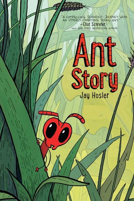 Ant Story TP