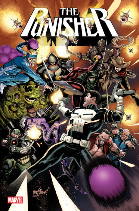 PUNISHER #13